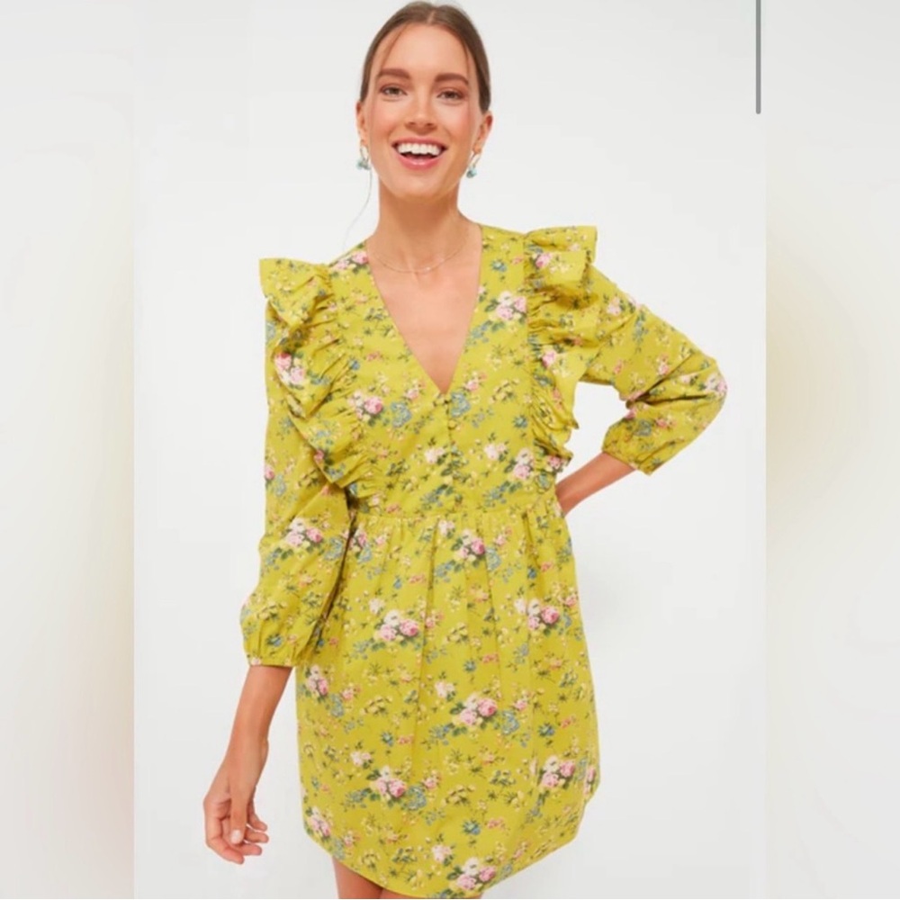 Hyacinth House Dress Womens S Small Green Floral Ruffle Reese Tuckernuck Cotton - Picture 2 of 11